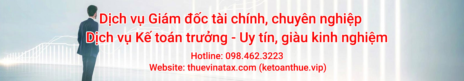 thuevinatax2